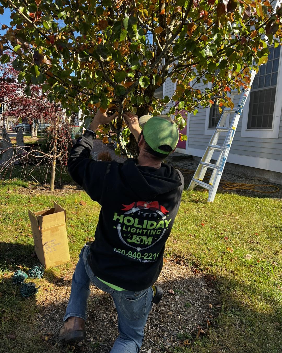 Tree lighting near me